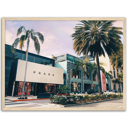 Rodeo Drive Fashion Stores Poster