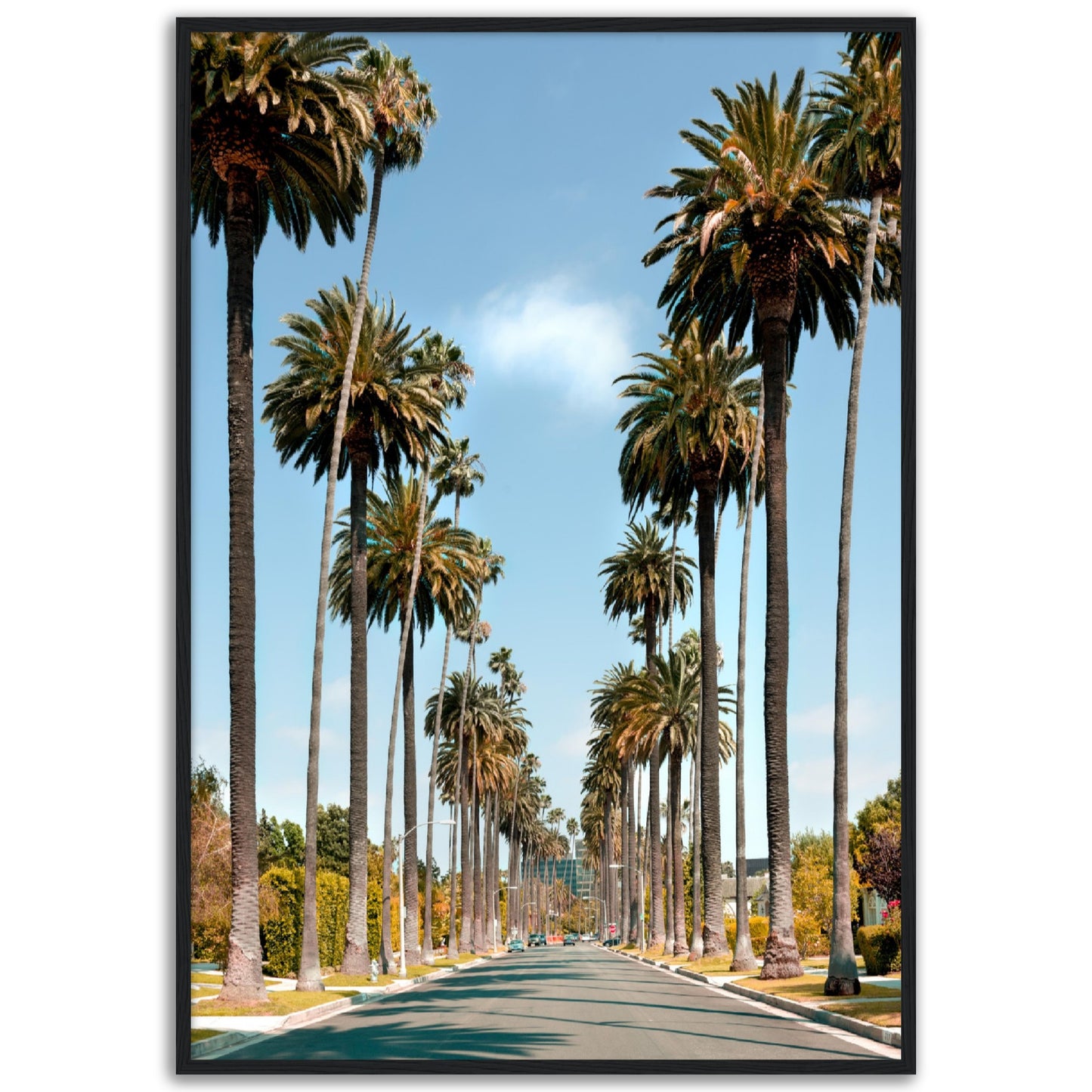 Los Angeles Street Poster