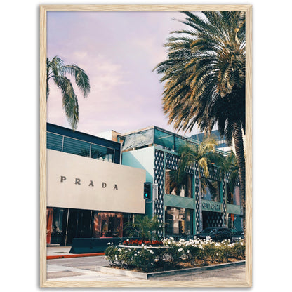 Rodeo Drive Fashion Stores Poster