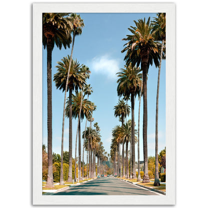 Los Angeles Street Poster