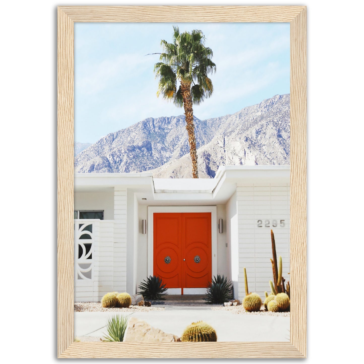 Red Door Palm Springs Poster