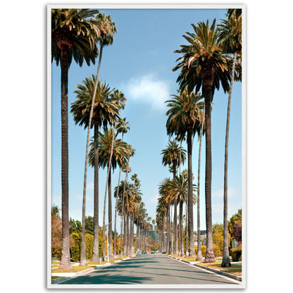 Los Angeles Street Poster