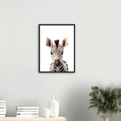 Baby Zebra Poster