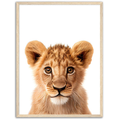 Baby Tiger Poster