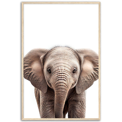 Baby Elephant Poster