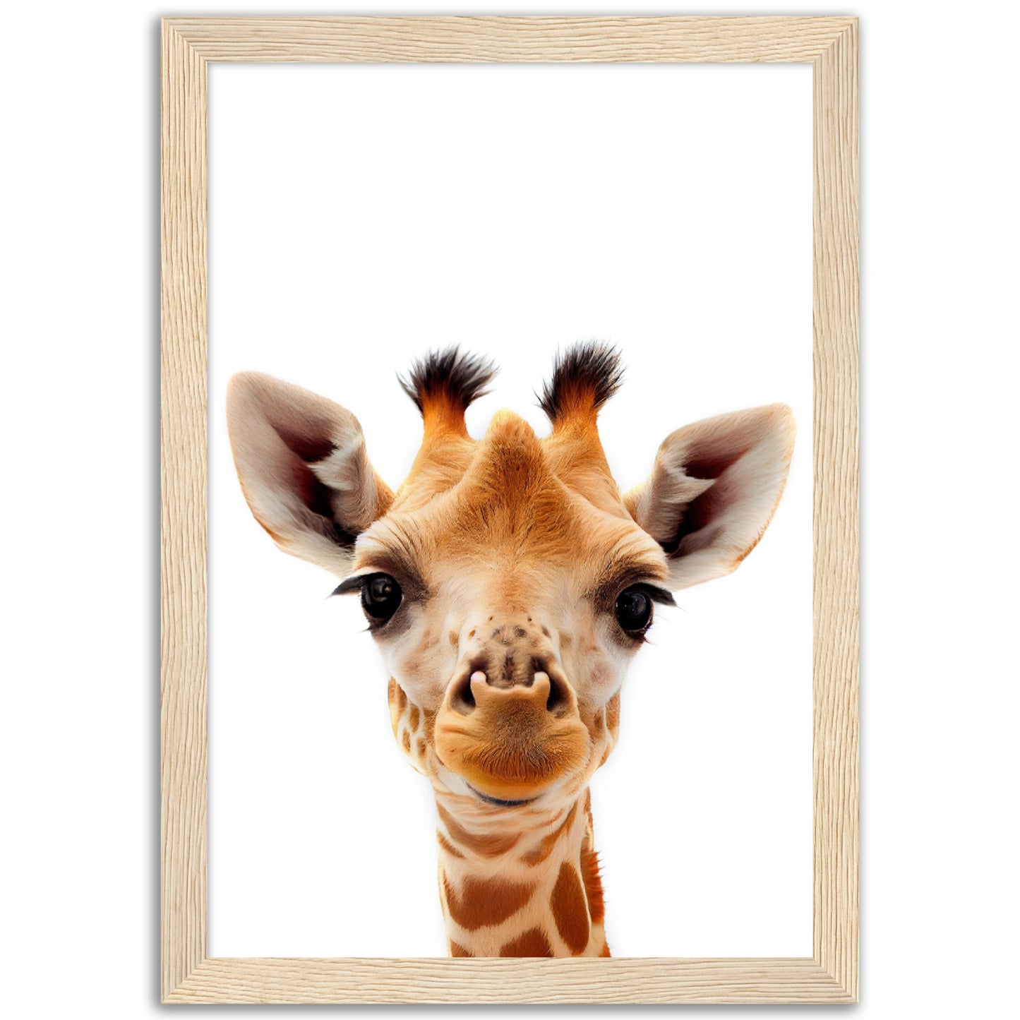 Giraffe Baby Animal Poster