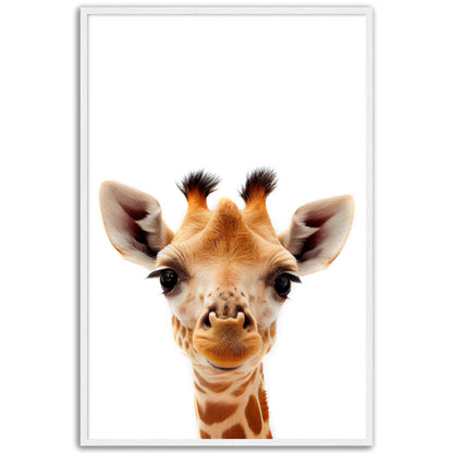 Giraffe Baby Animal Poster