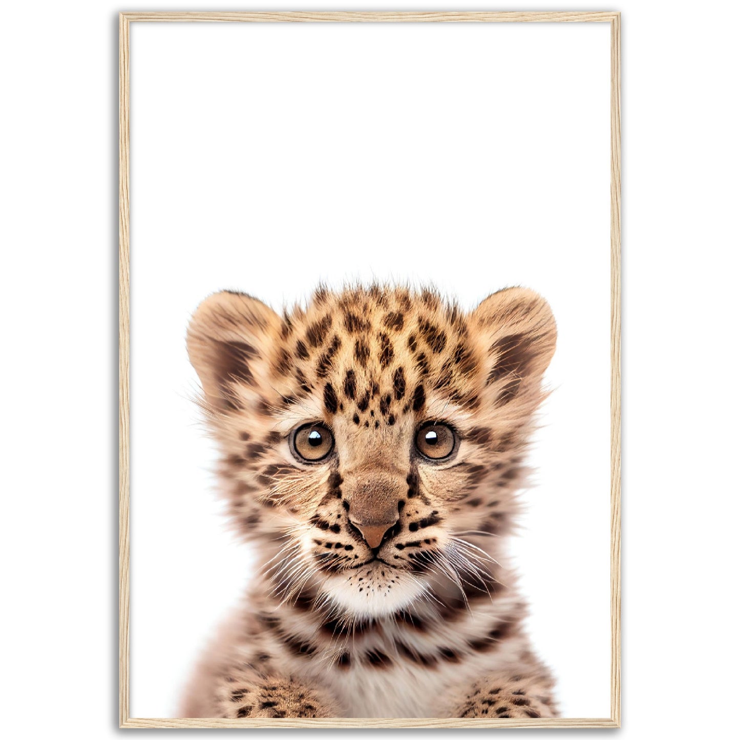 Baby Leopard Poster