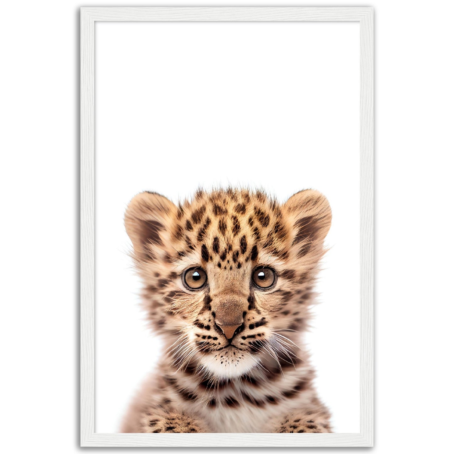 Baby Leopard Poster