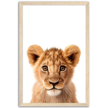 Baby Tiger Poster