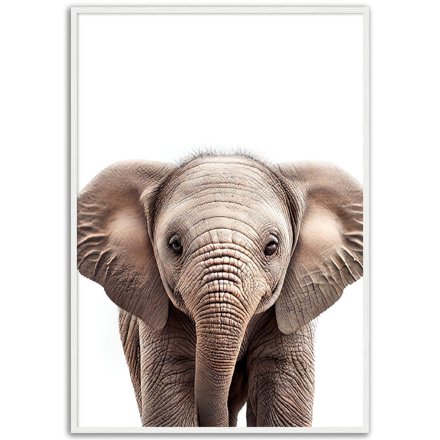 Baby Elephant Poster