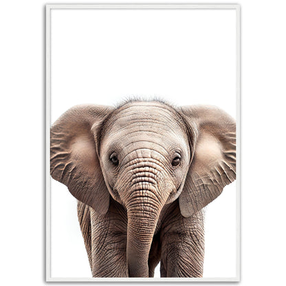 Baby Elephant Poster