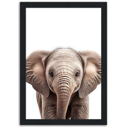 Baby Elephant Poster