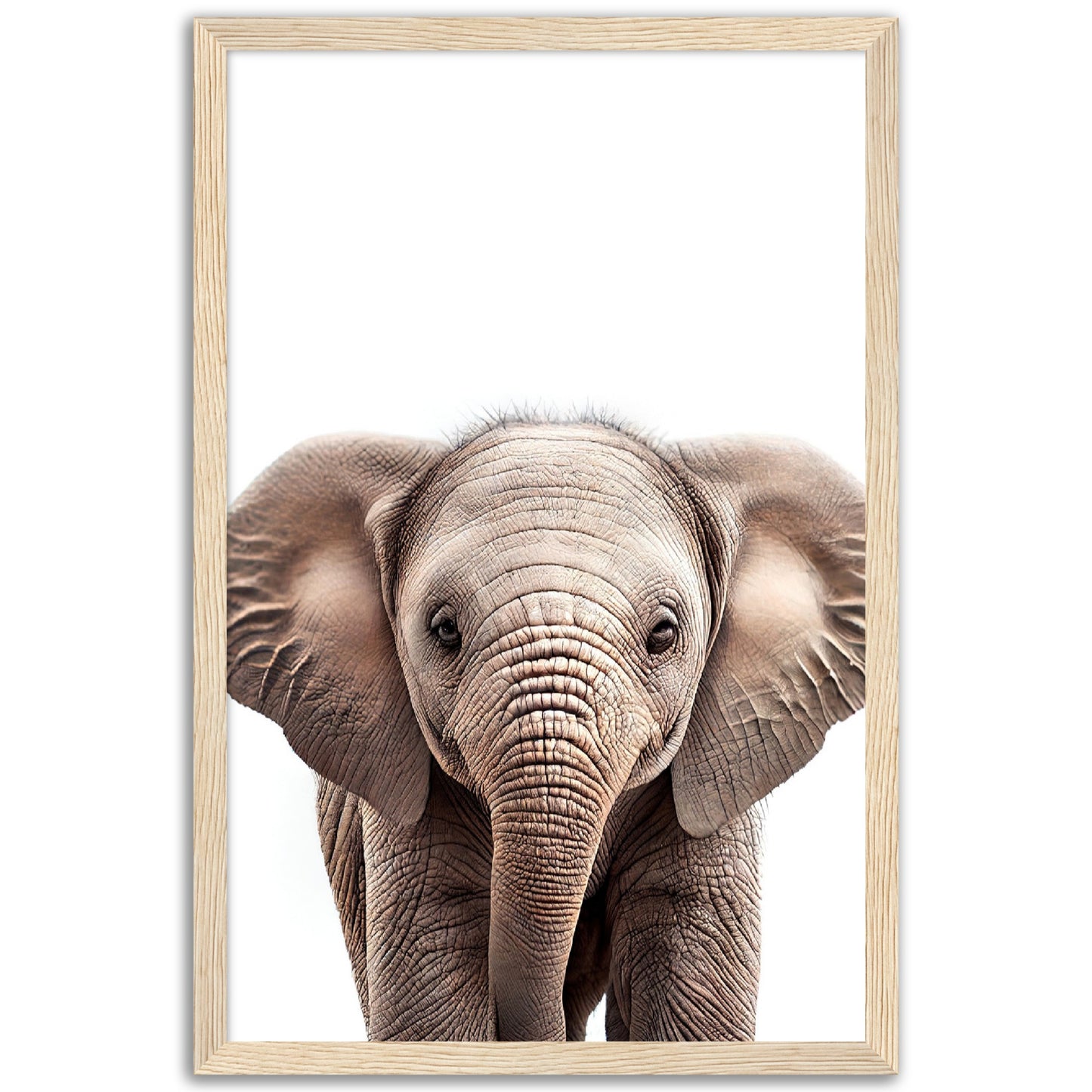 Baby Elephant Poster