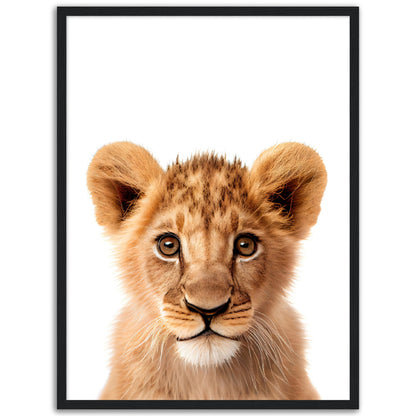 Baby Tiger Poster