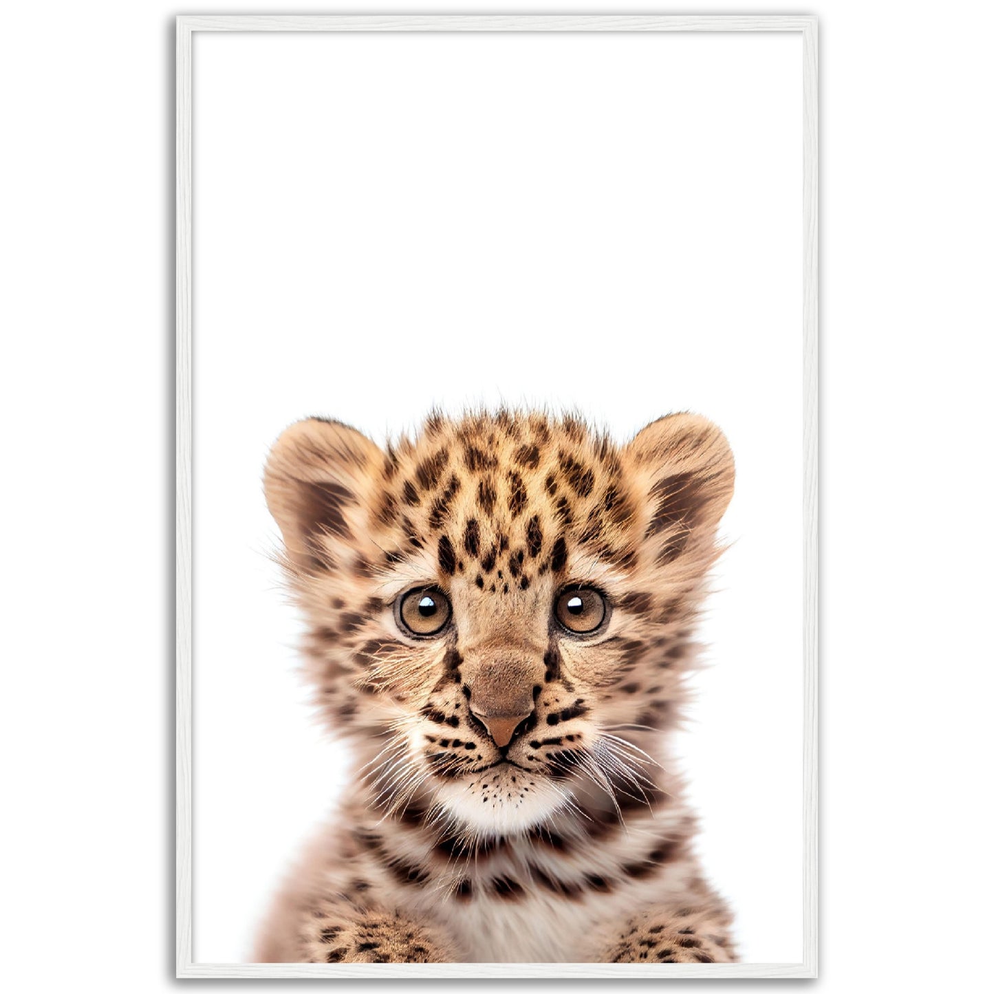 Baby Leopard Poster