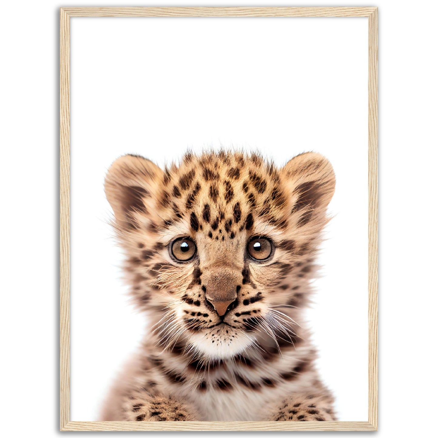 Baby Leopard Poster