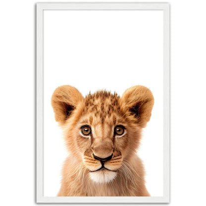 Baby Tiger Poster