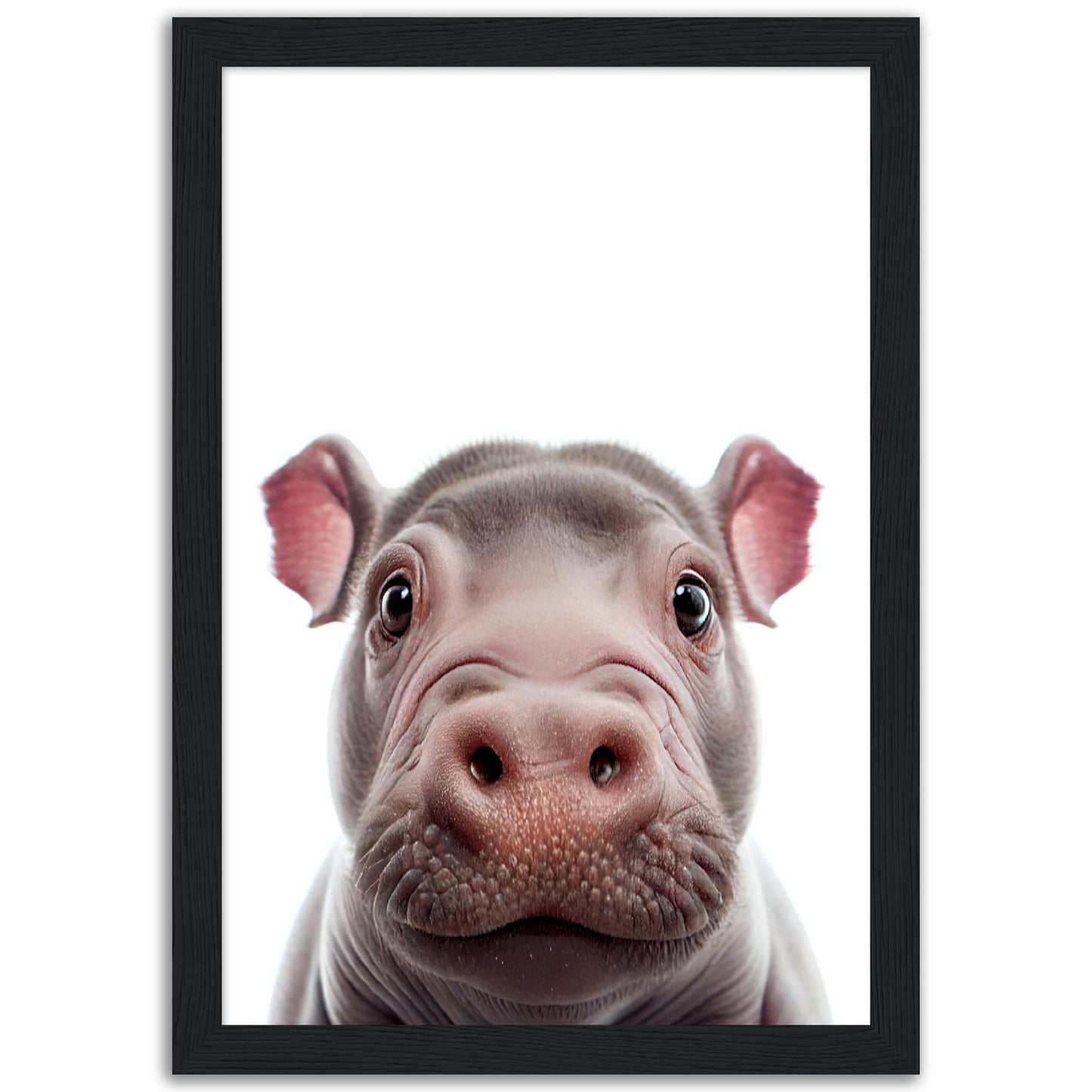 Little Hippo Portrait