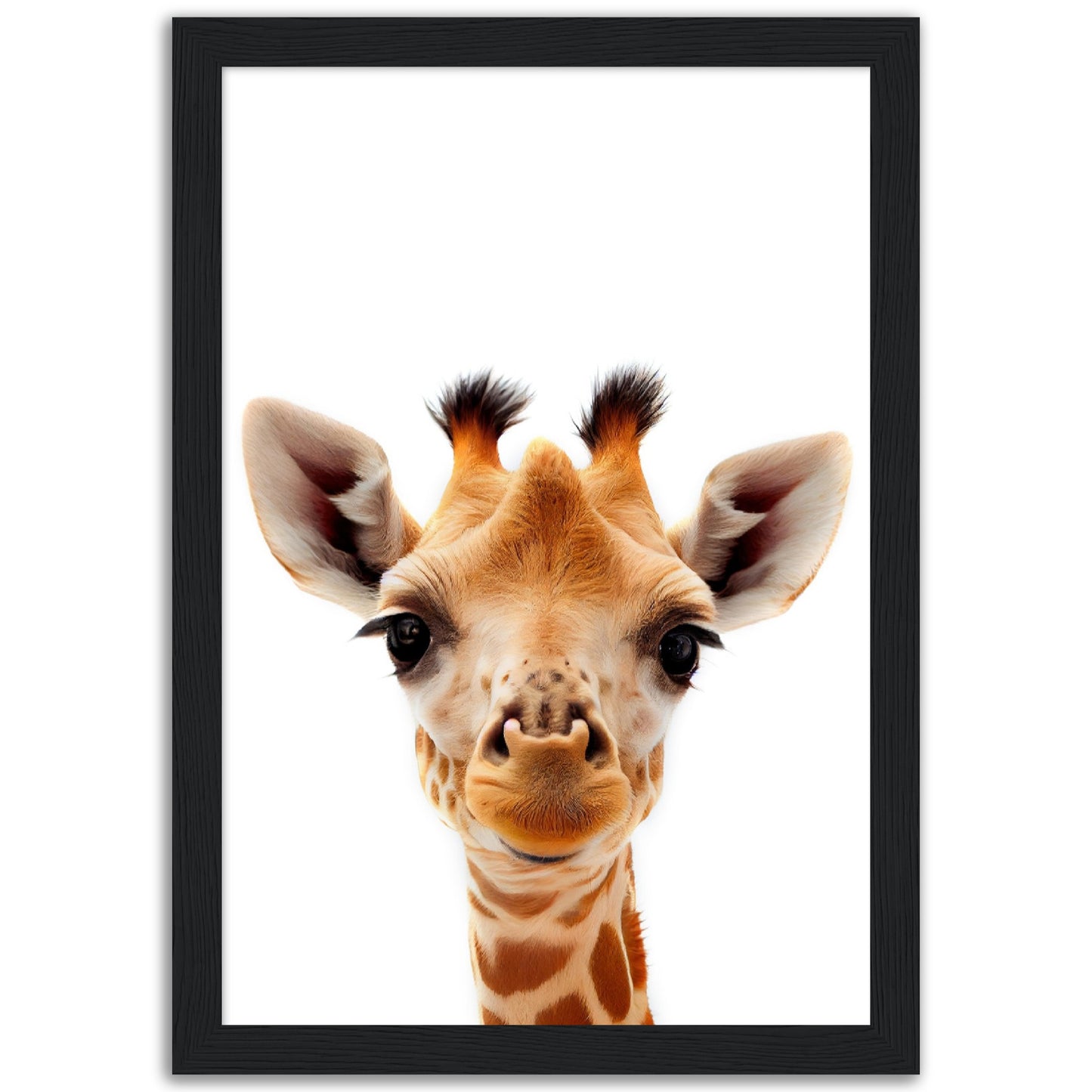 Giraffe Baby Animal Poster