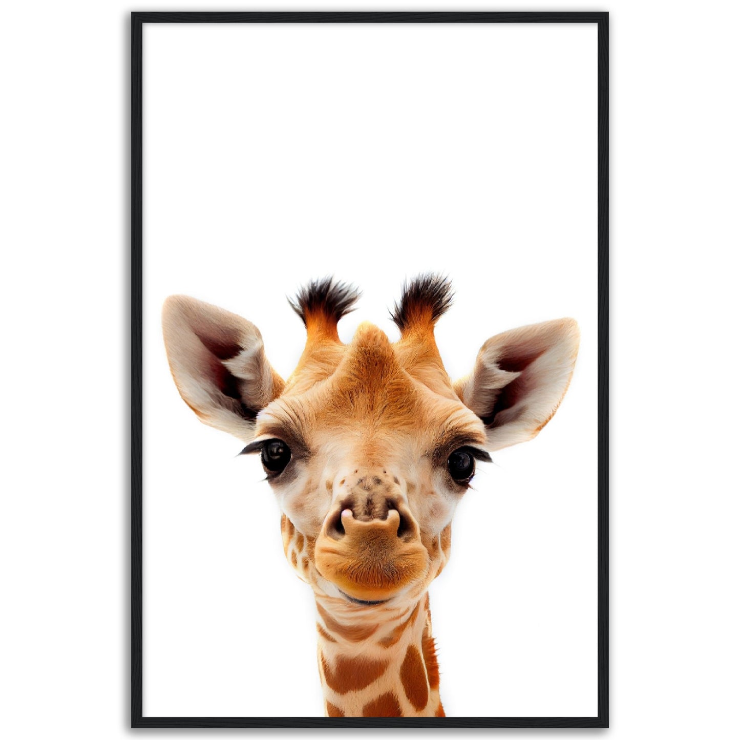 Giraffe Baby Animal Poster