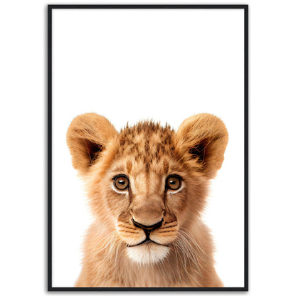 Baby Tiger Poster