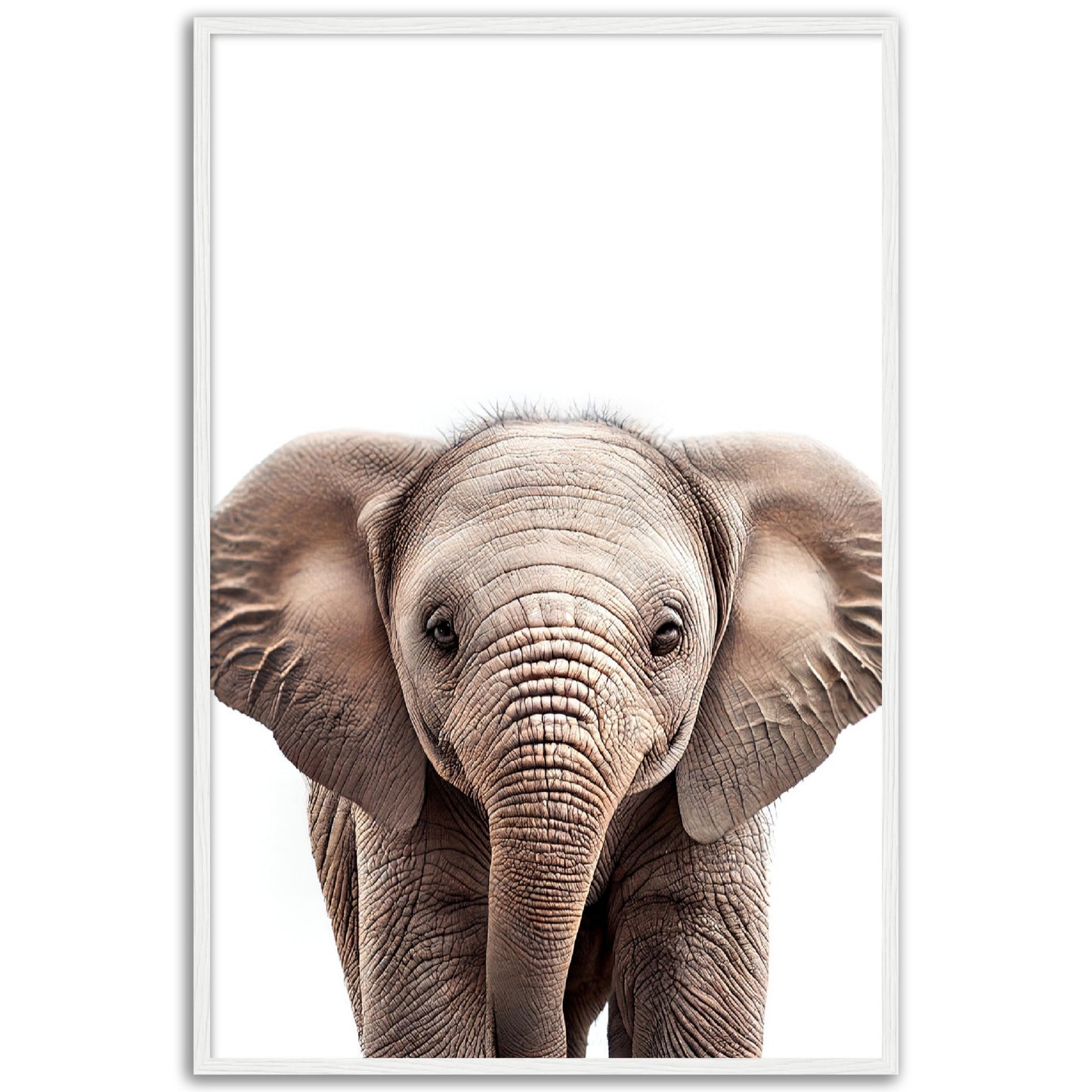 Baby Elephant Poster