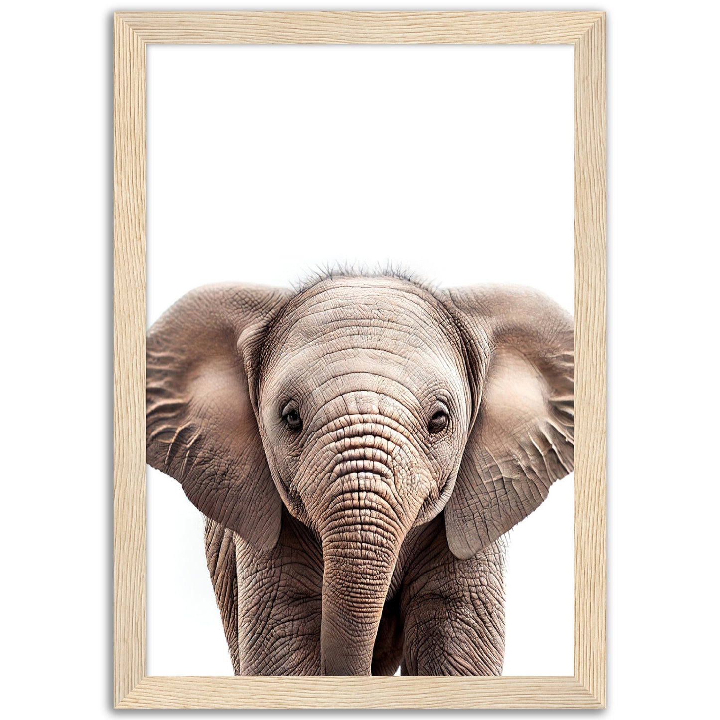 Baby Elephant Poster