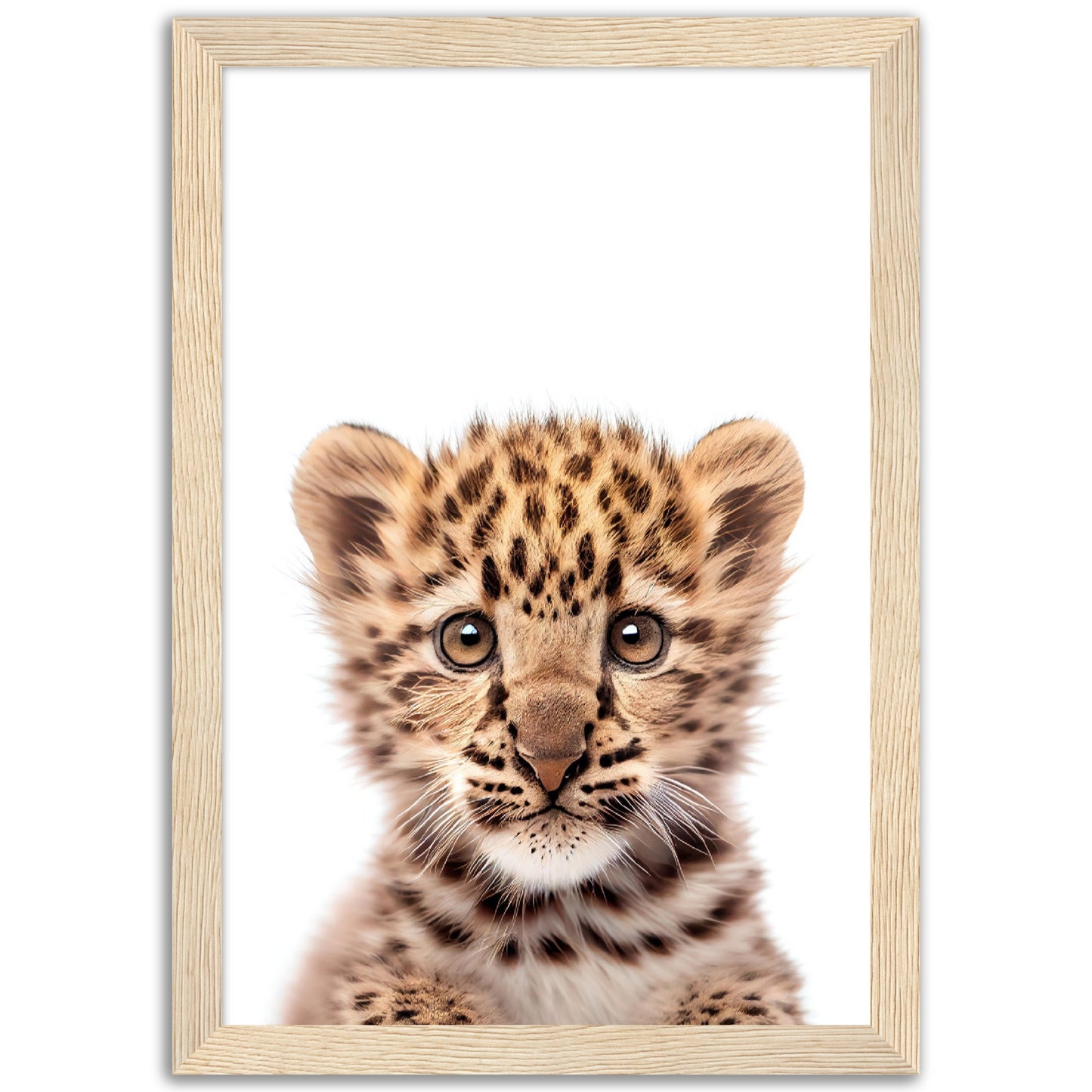 Baby Leopard Poster