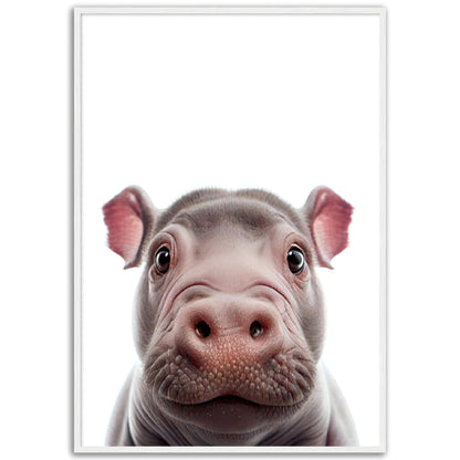 Little Hippo Portrait