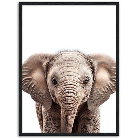 Baby Elephant Poster