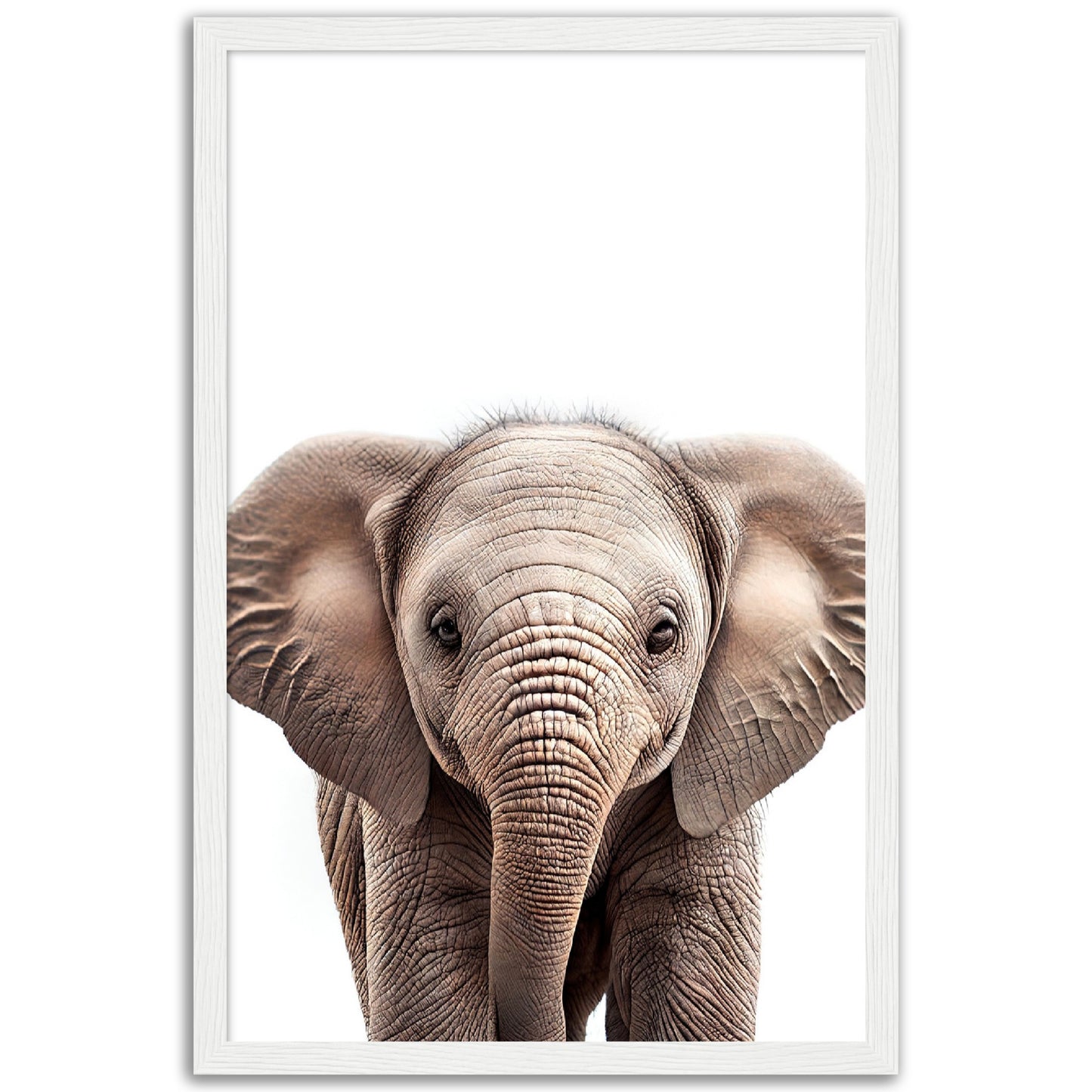 Baby Elephant Poster