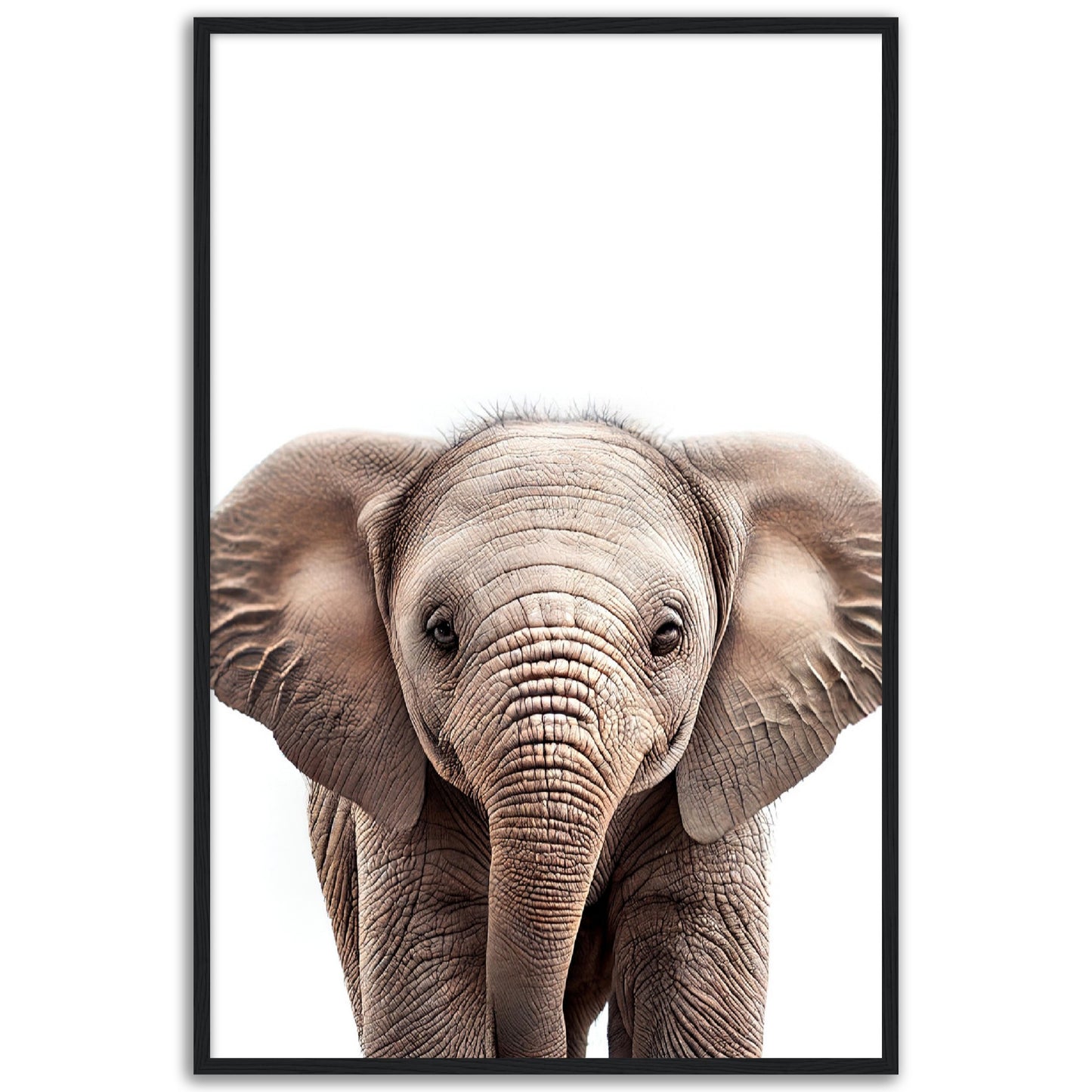 Baby Elephant Poster