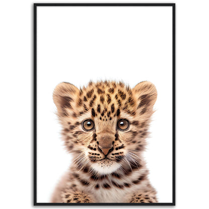 Baby Leopard Poster