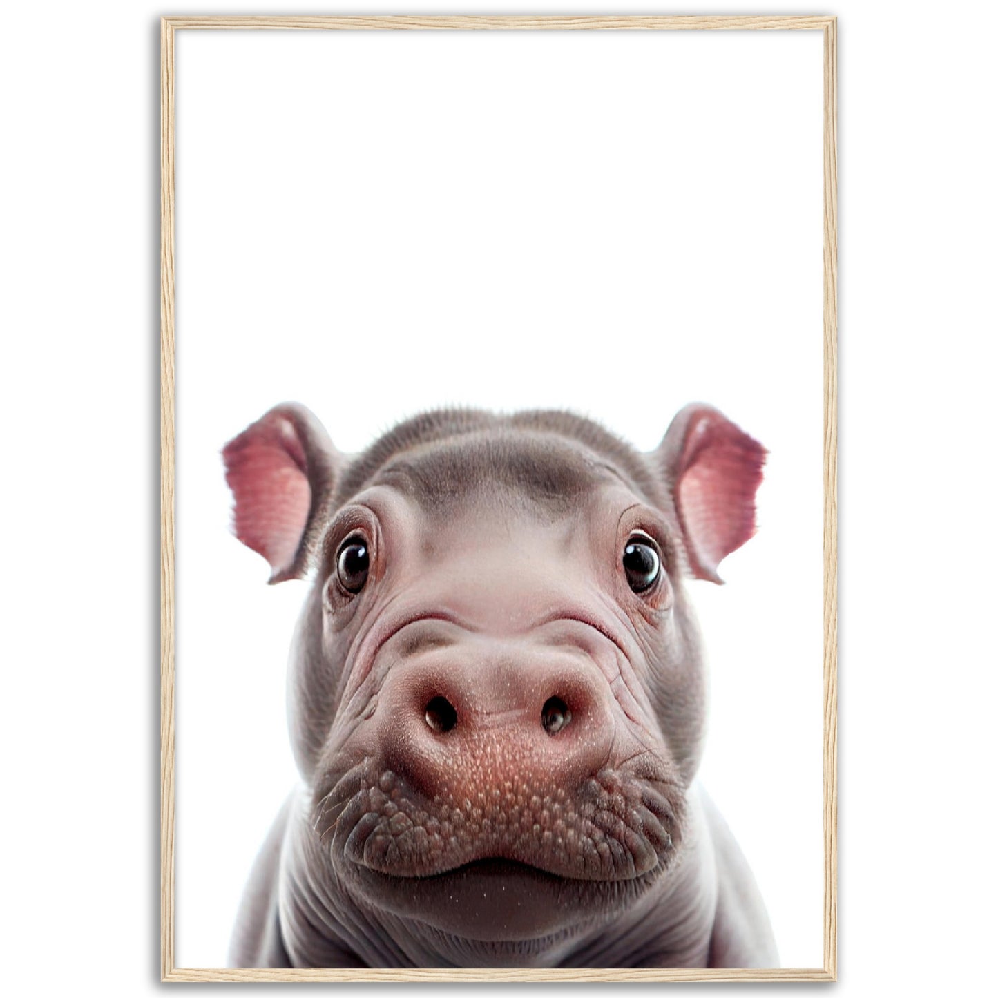 Little Hippo Portrait