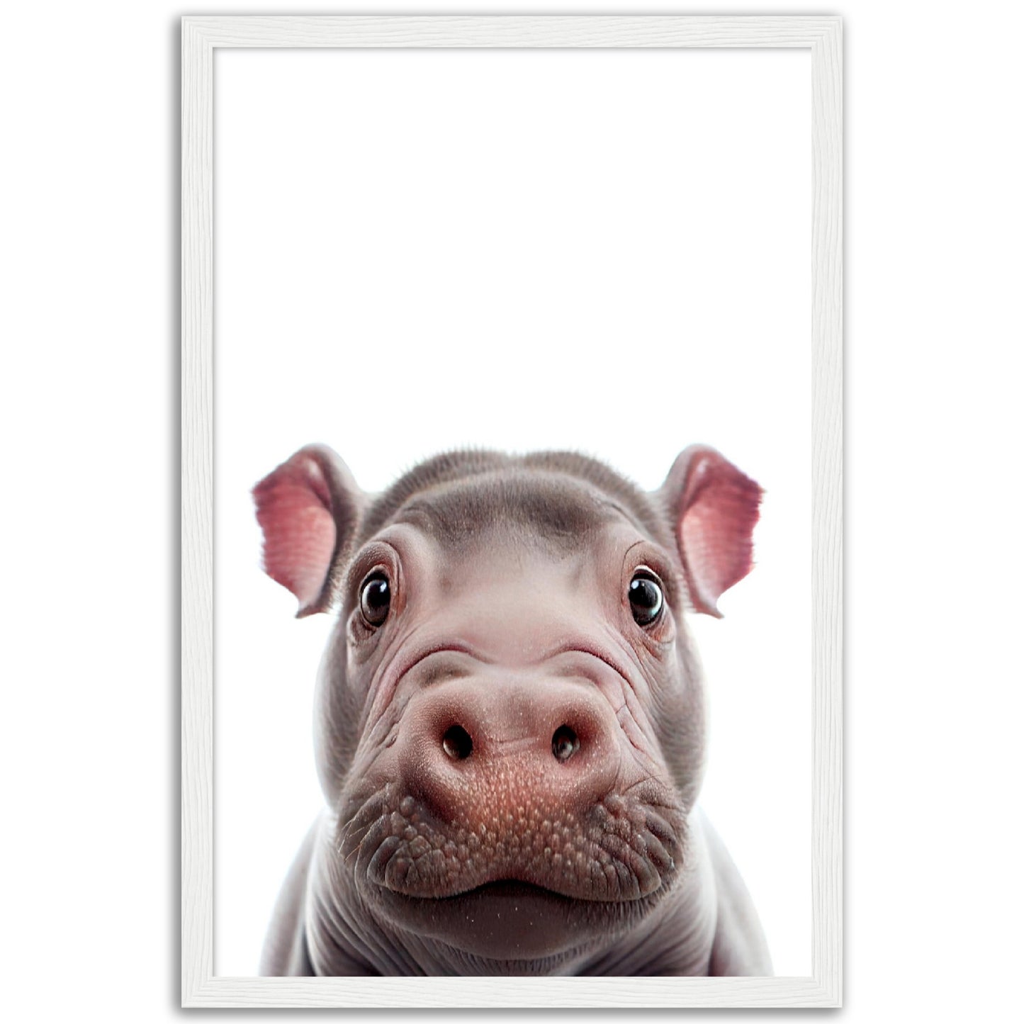 Little Hippo Portrait