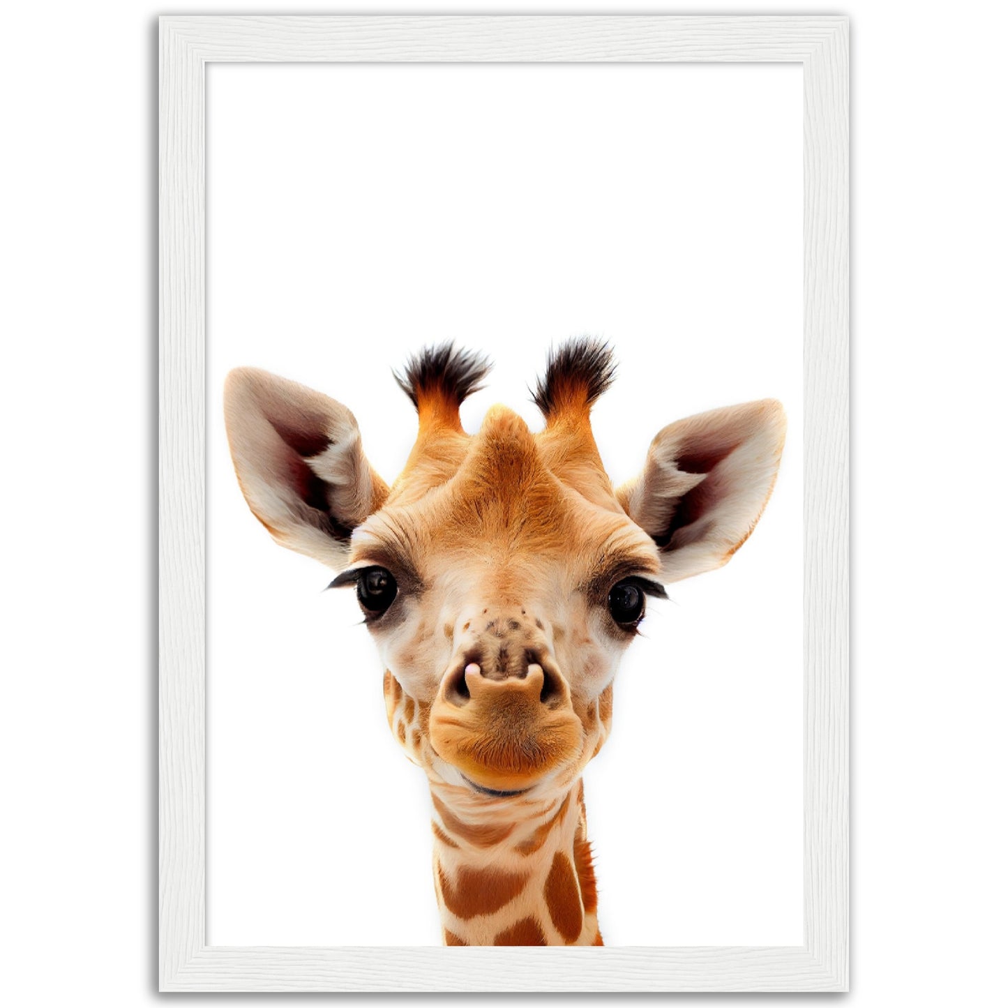 Giraffe Baby Animal Poster