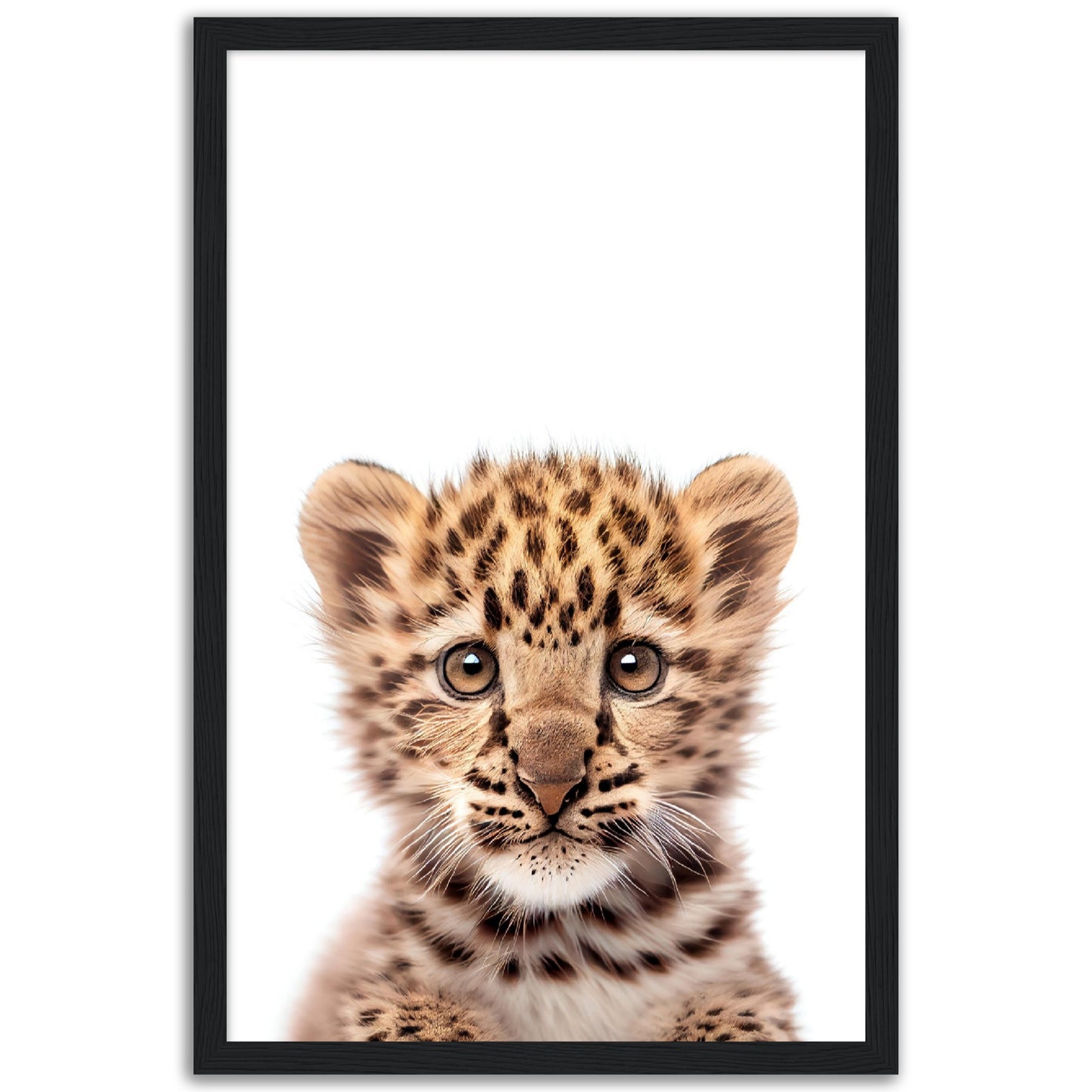 Baby Leopard Poster