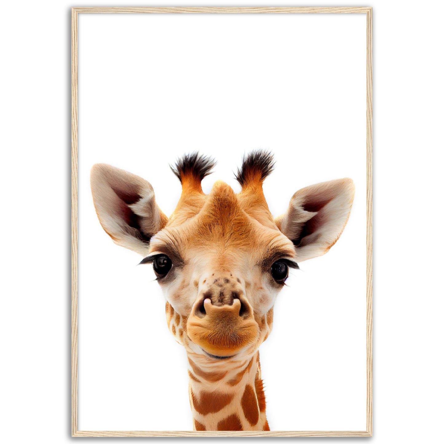 Giraffe Baby Animal Poster