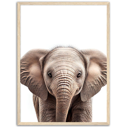 Baby Elephant Poster