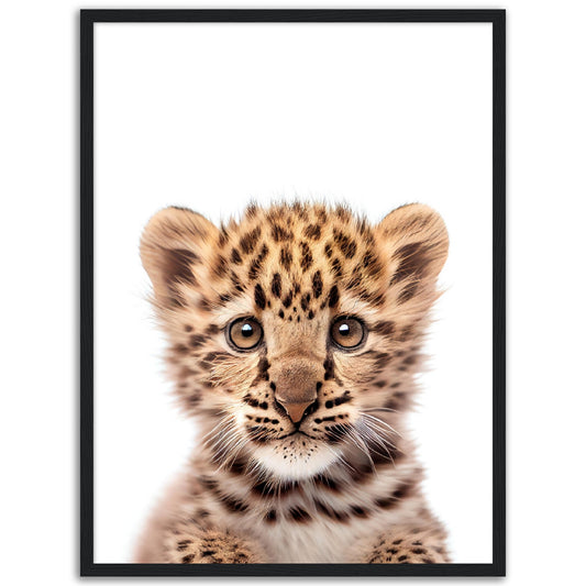 Baby Leopard Poster