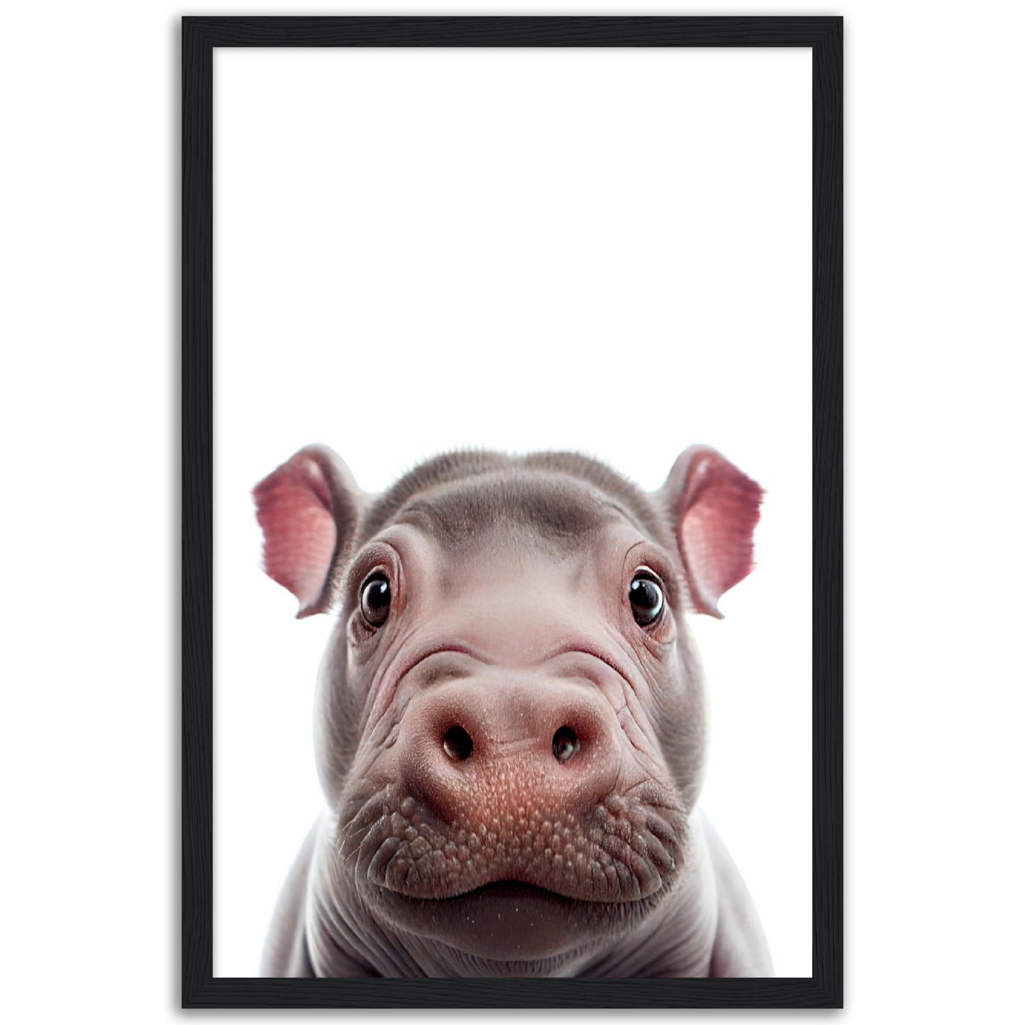 Little Hippo Portrait