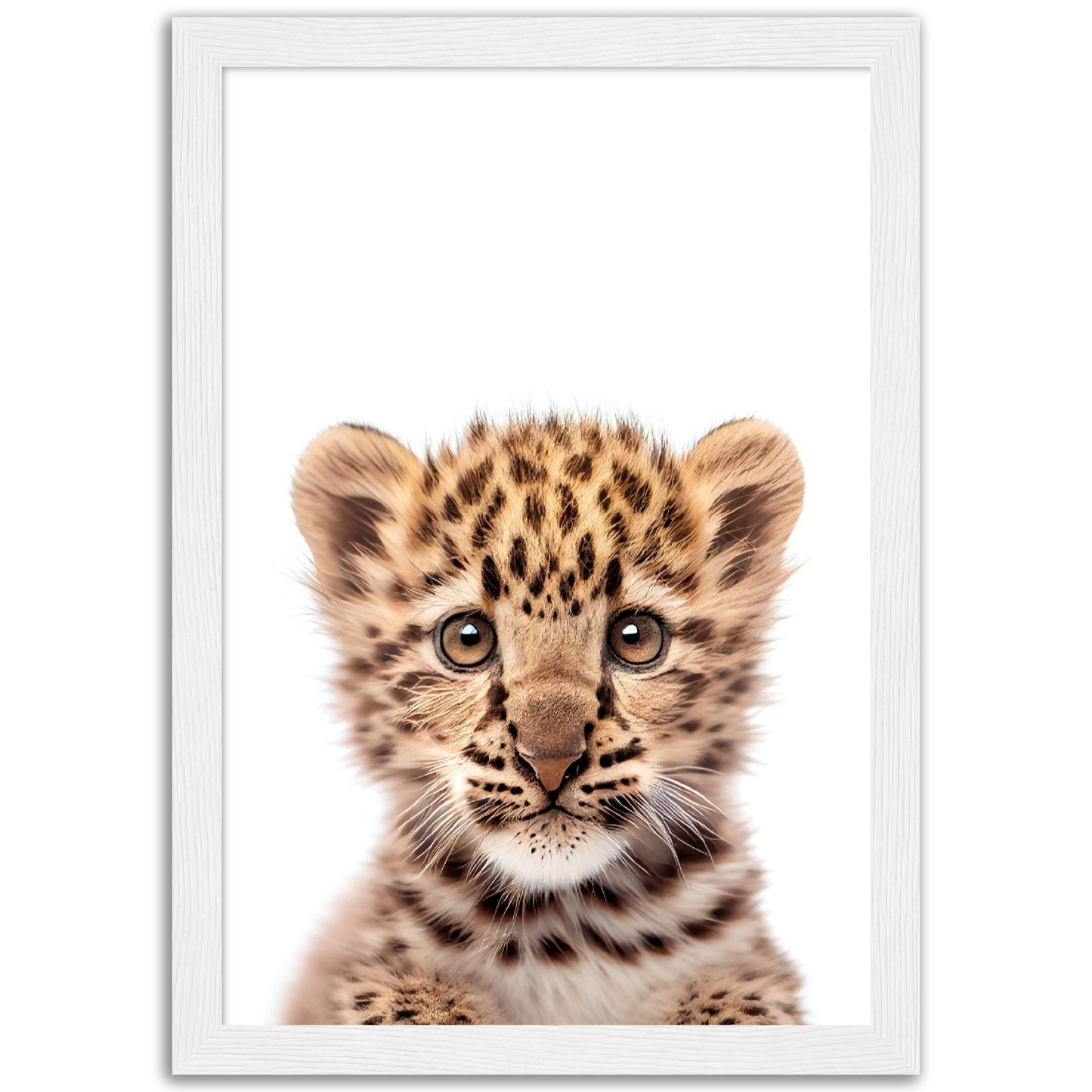 Baby Leopard Poster