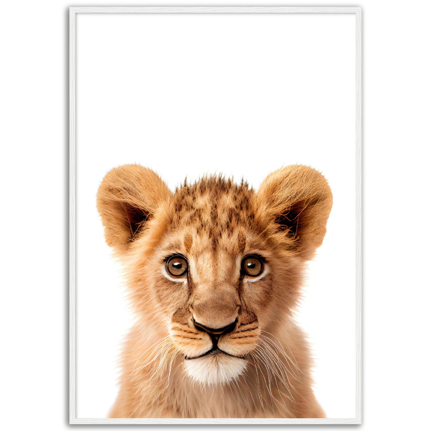 Baby Tiger Poster