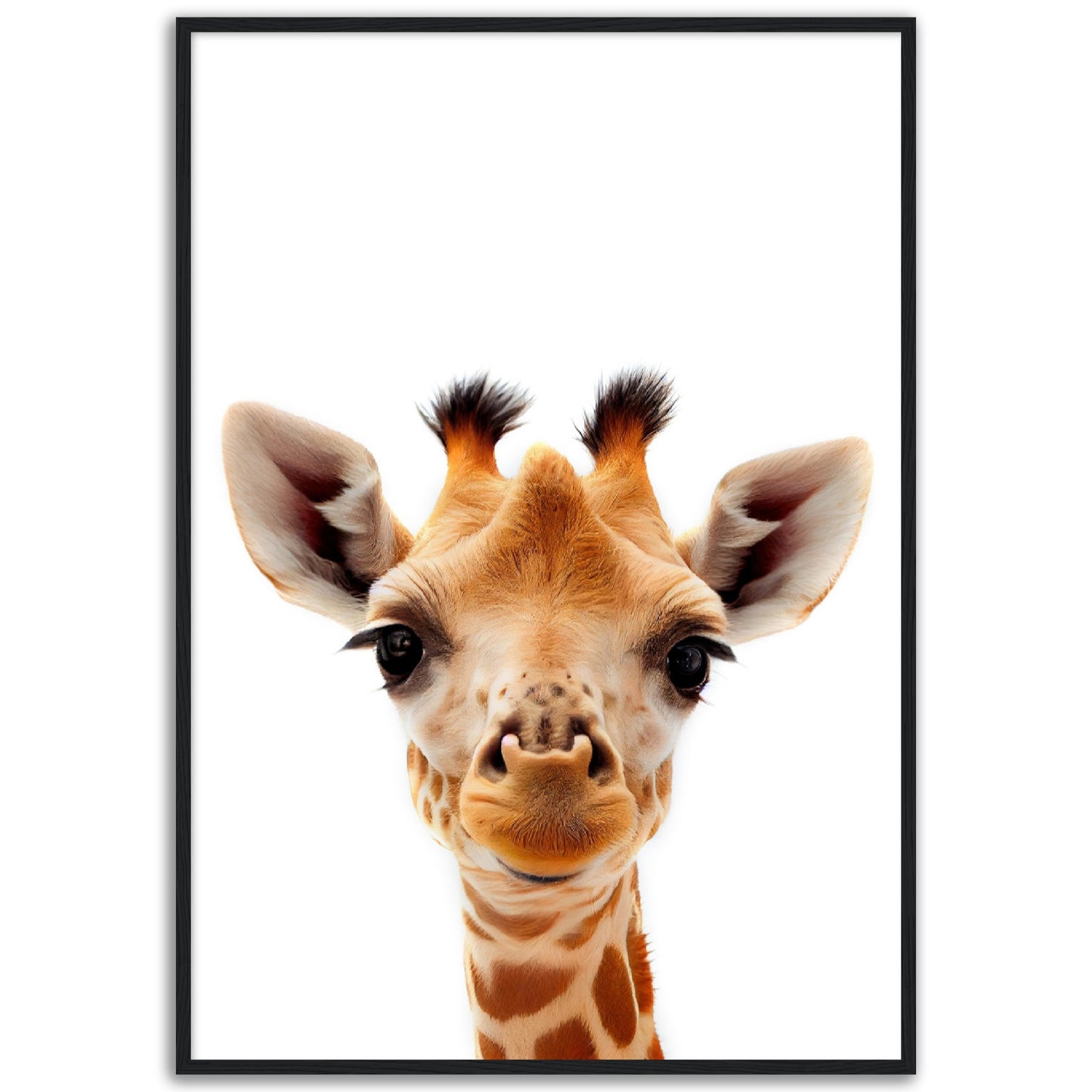 Giraffe Baby Animal Poster