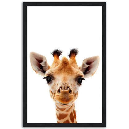 Giraffe Baby Animal Poster