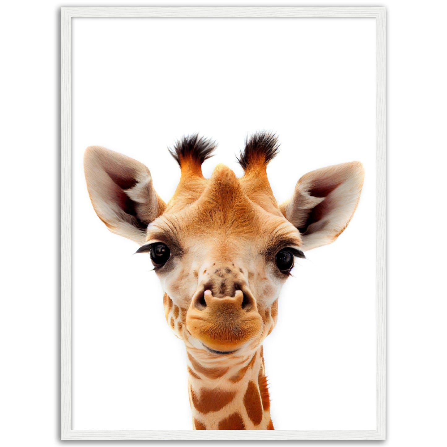 Giraffe Baby Animal Poster