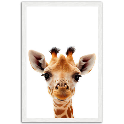 Giraffe Baby Animal Poster